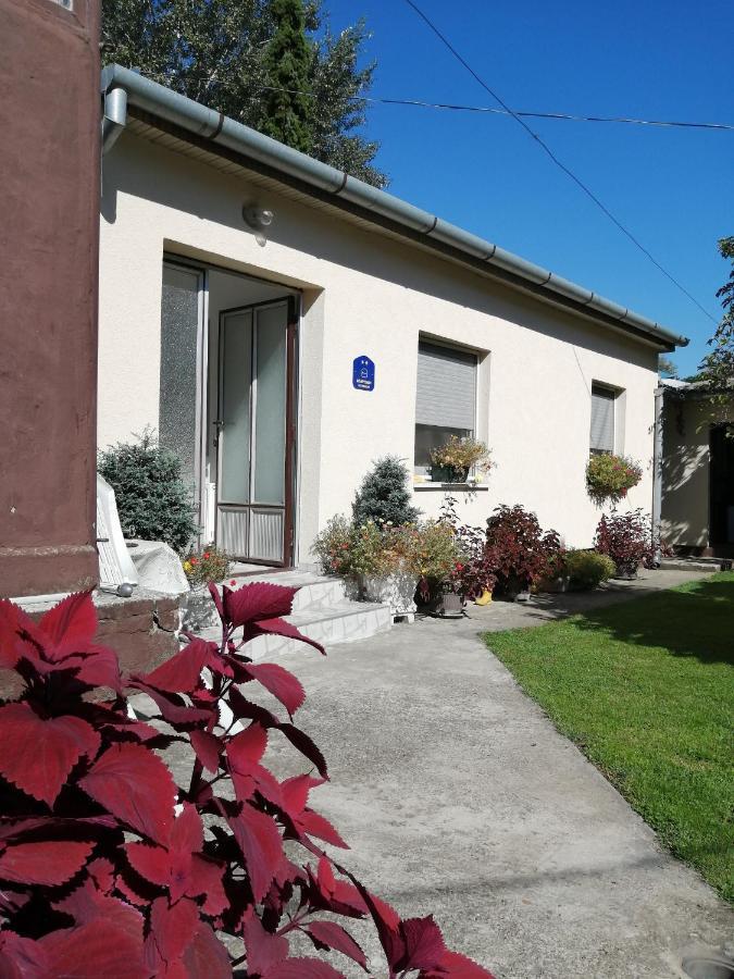 Green Apartment Novi Sad Exterior foto