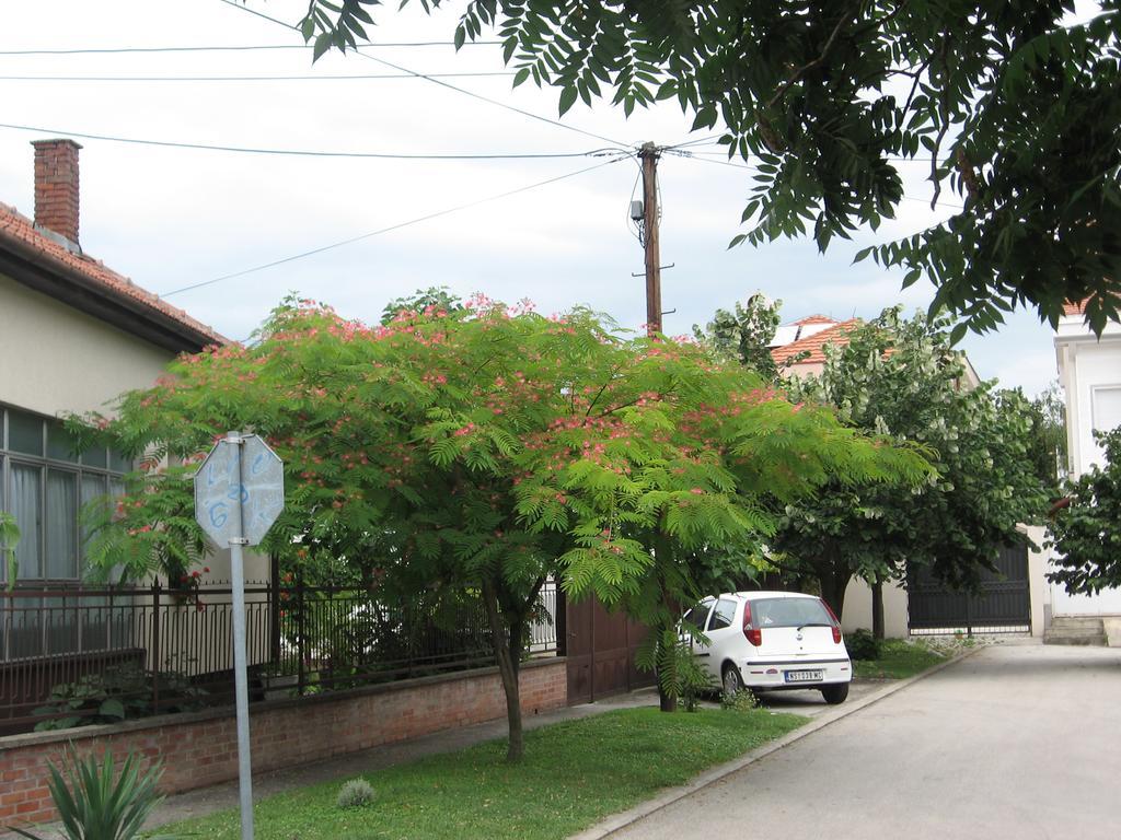 Green Apartment Novi Sad Exterior foto