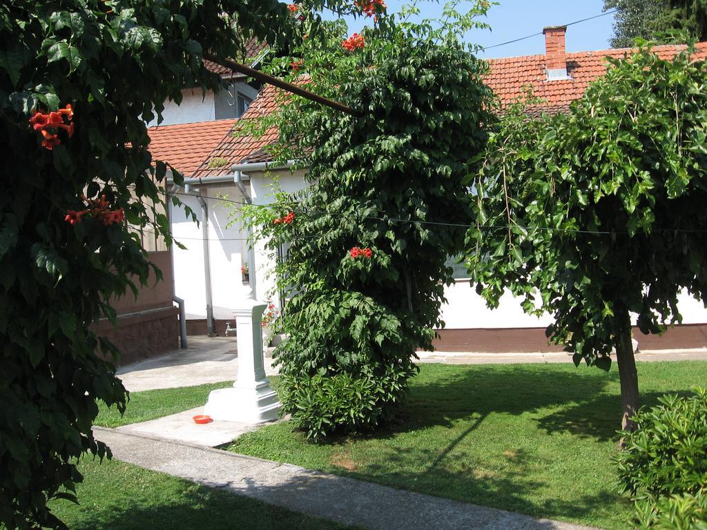 Green Apartment Novi Sad Exterior foto
